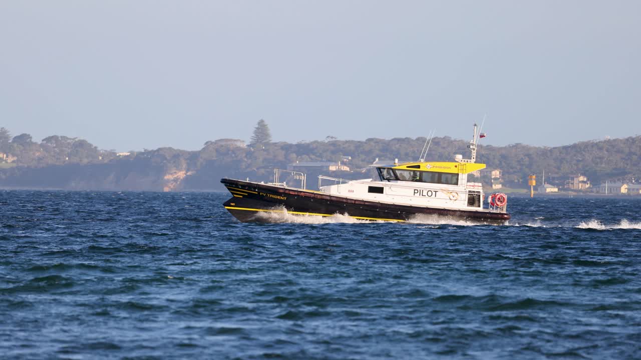 A pilot boat cruises through Bellarine's coastal waters under clear skies, showcasing maritime navigation and safety operations