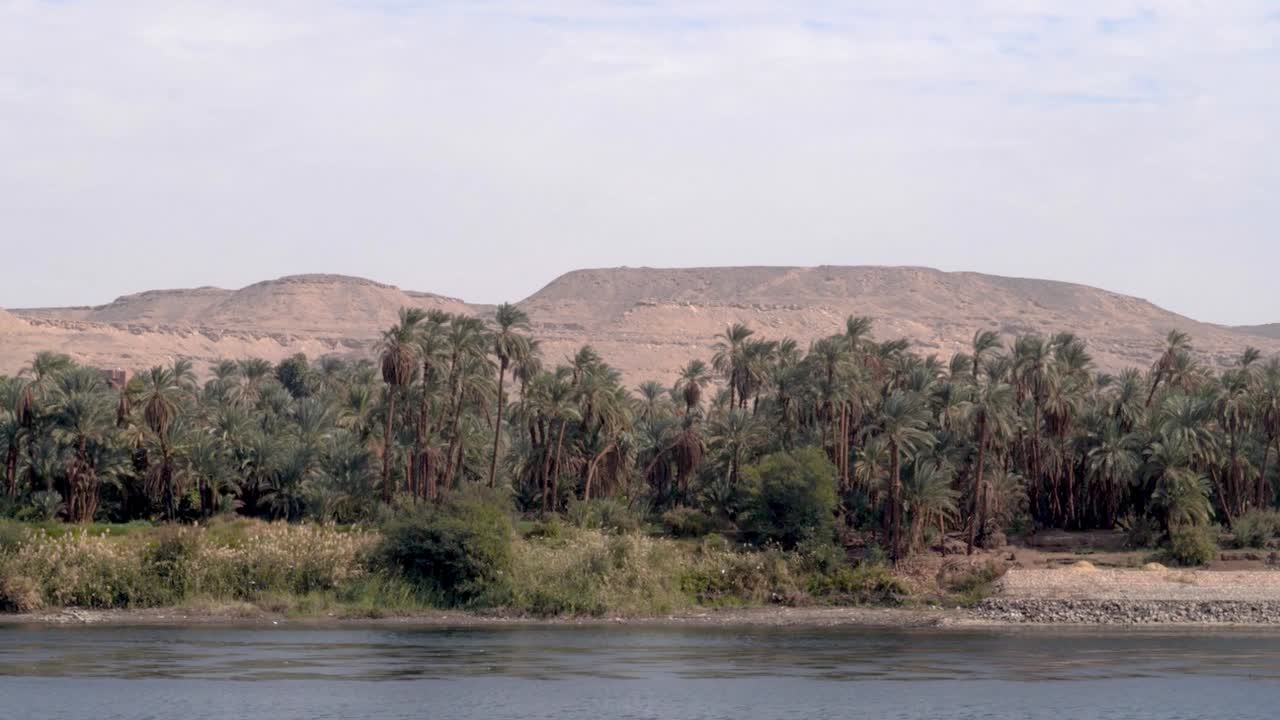 colinas arenosas en el fondo con palmeras y el río nilo con pájaros volando en luxor, egipto