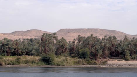 Colinas-De-Arena-En-El-Fondo-Con-Palmeras-Y-El-Río-Nilo-Con-Pájaros-Volando-En-Luxor,-Egipto