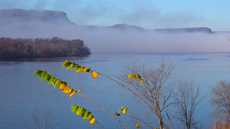 El-Follaje-De-Otoño-Dorado-A-Lo-Largo-De-Los-Acantilados-Del-Río-Mississippi-En-La-Frontera-De-Wisconsin,-Iowa