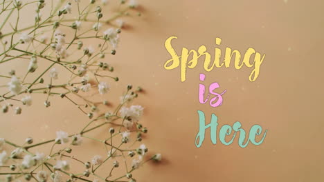 animation of spring is here text and stars over white flowers