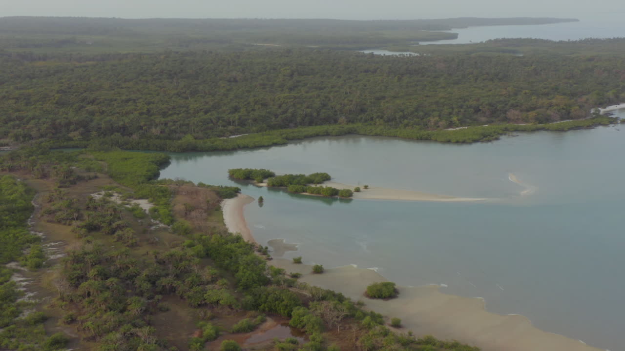 Aerial View of Guinea-Bissau Coastline and Coastal Forest