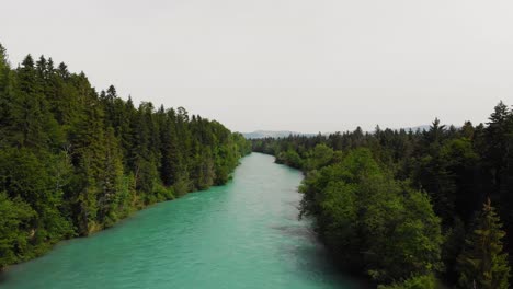 Aerial-of-a-river-surrounded-by-forest