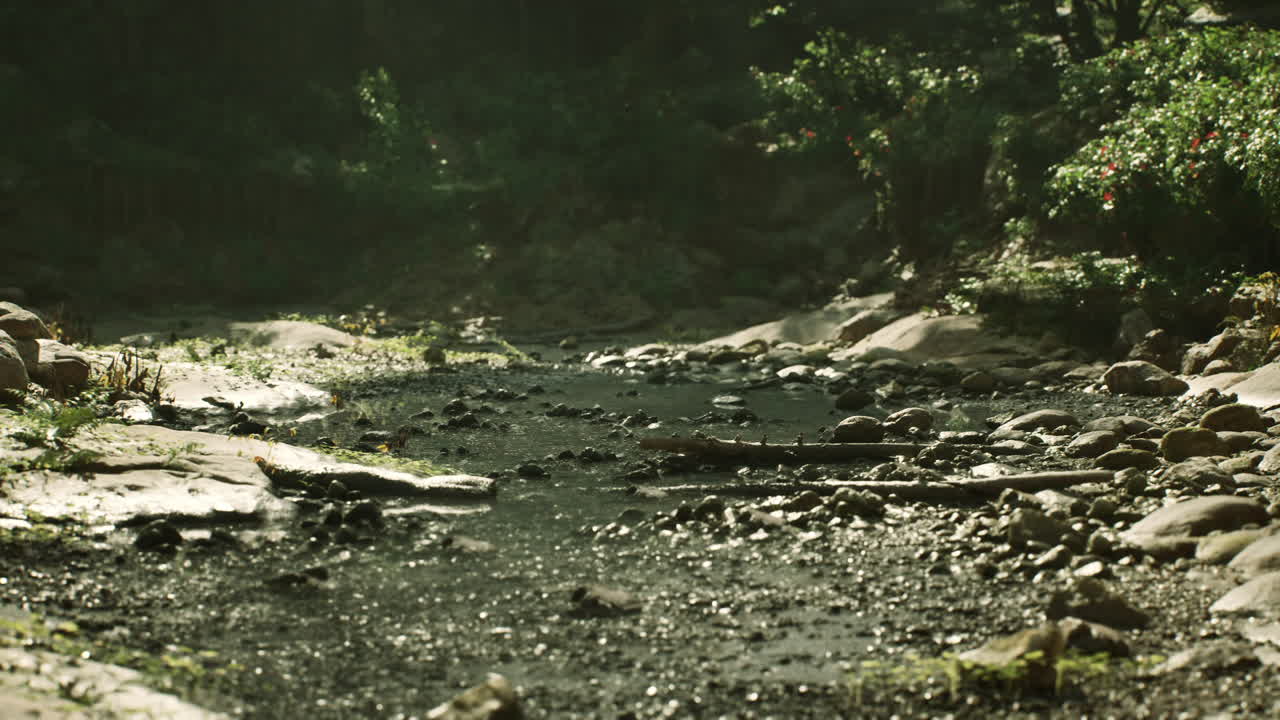 Scenic view of a dry riverbed in myanmar during the dry season
