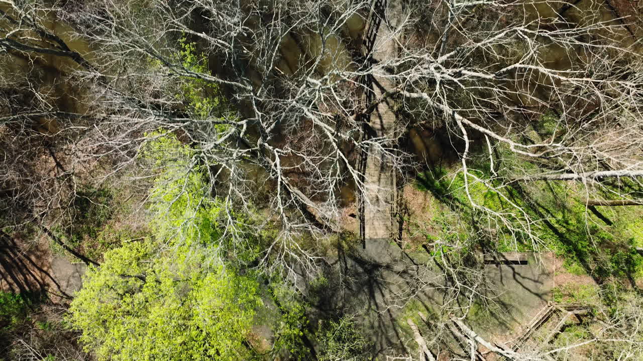 Bell slough state wildlife management area, creekside trees in early spring, aerial view