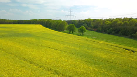 Vista-Aérea-Del-Floreciente-Poste-De-Energía-Del-Campo-De-Canola-En-El-Fondo