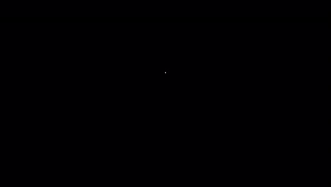 select application simple cat transitions. 1080p - 30 fps - alpha channel (5