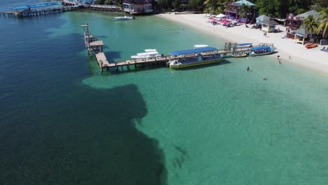 sobrevuelo: arrecifes de coral sanos en aguas claras de la playa en la bahía oeste, roatan