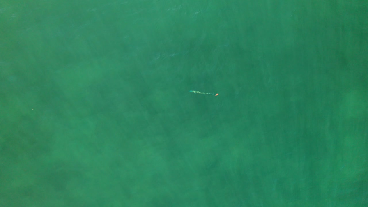 pescado en el mar en costa rica