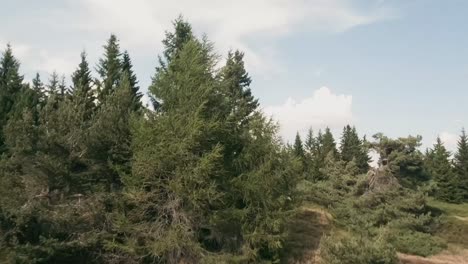 fpv drone glides above serene pond and tree tops captivating nature's beauty from above revelaing the valley and the mountains in the background