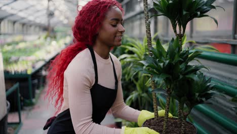 portrait of a beautiful african american woman carrying a big green pot of plants