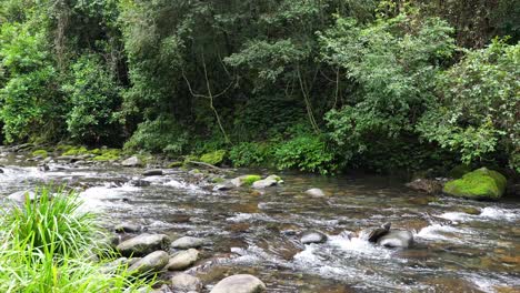 barrington tops national park stream