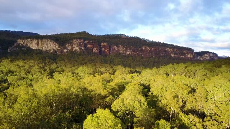 Aerial over Carvarvon National Park with forests trees mountain ranges Victoria Australia