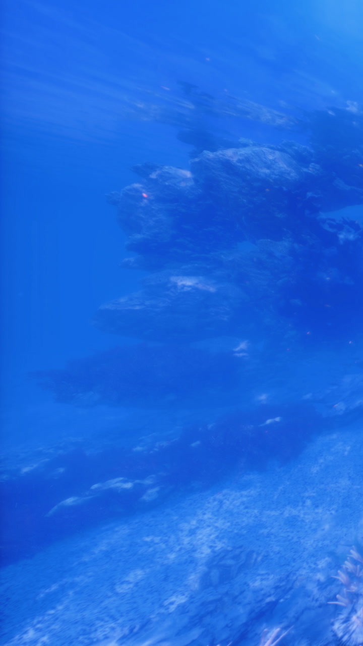 Beneath the ocean waves a tranquil world of blue awakens with life