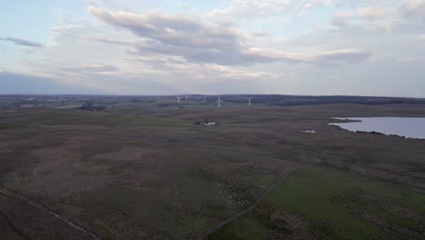 Luftaufnahmen-Nähern-Sich-Den-Turbinen-Des-Windparks-Whitelee-Im-Grauen-Schottischen-Moor