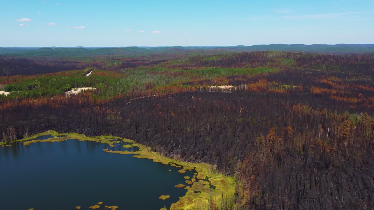 bosque y hermoso lago, en colores verdes y marrones, disparo aéreo de dron