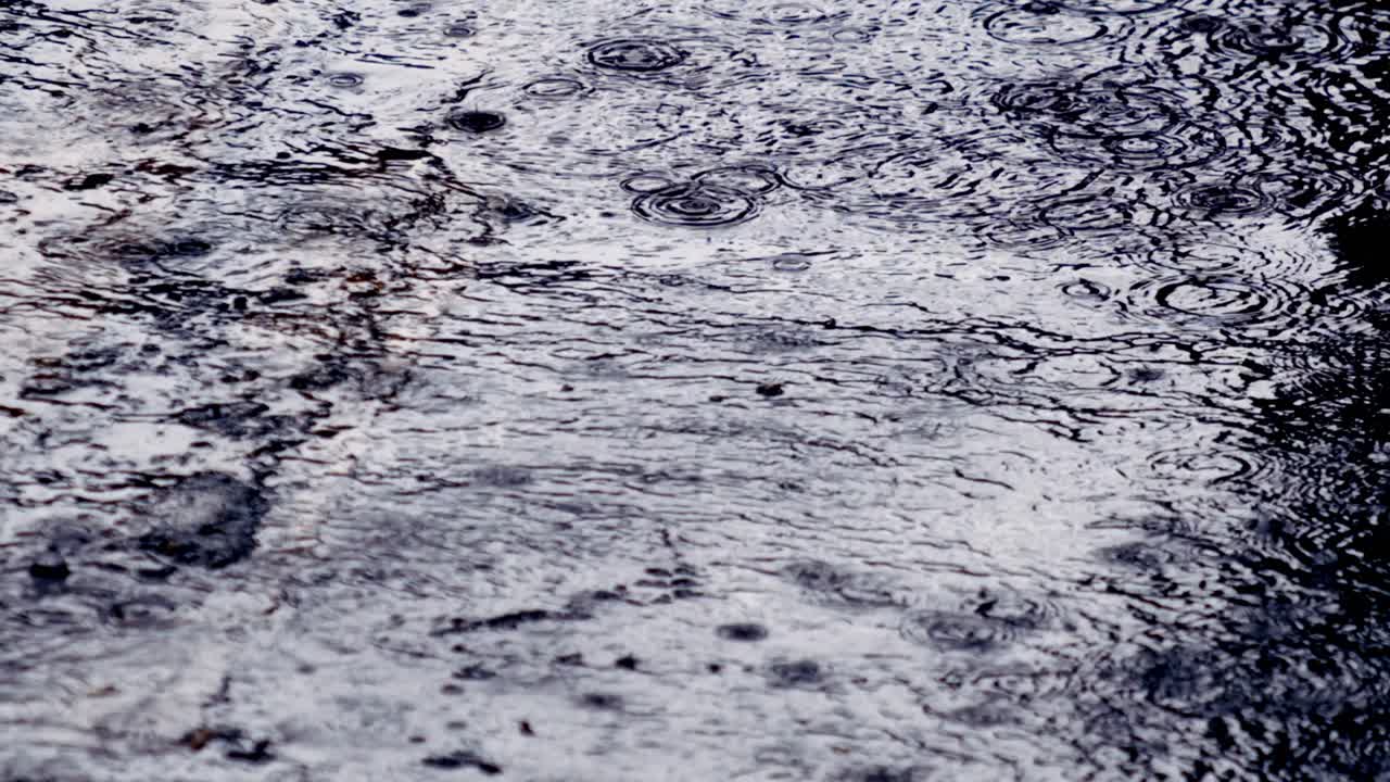 웅이에서 넓은 물방울이 춤을 추고, 원형의 모양이 기 시작합니다.