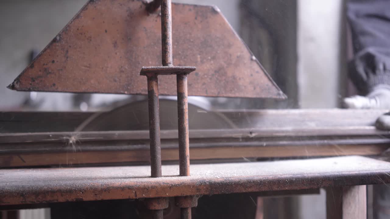 Cutting peas of wood on circular saw