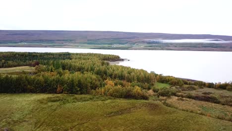 Trucking-pan-of-a-forest-in-a-Scandinavian-country-that-are-vibrant-and-green-right-next-to-an-ocean-bay-on-a-foggy-morning