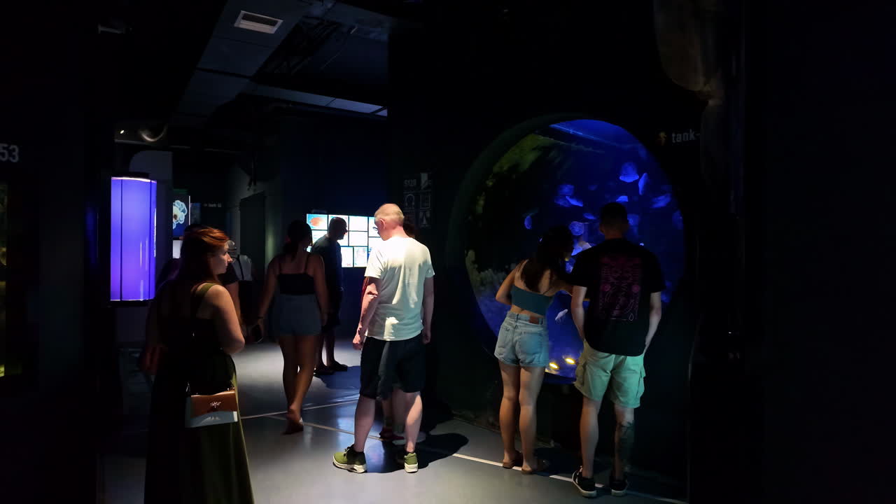 Visitors Watching Marine Life At CRETAquarium Thalassokosmos Near Gournes In Crete, Greece. slow motion