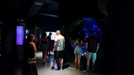 visitors watching marine life at cretaquarium thalassokosmos near gournes in crete, greece. slow motion