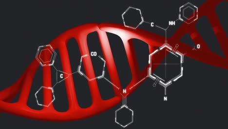 Animation-of-dna-strand-over-data-processing