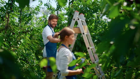especialistas agrícolas que supervisan el proceso de cultivo en un cálido jardín de verano