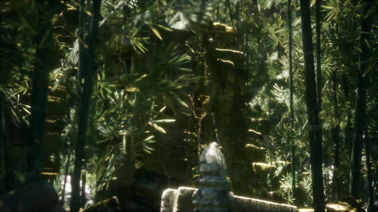 초록색 대나무 숲 에 있는 고대 건물 들 의 폐허