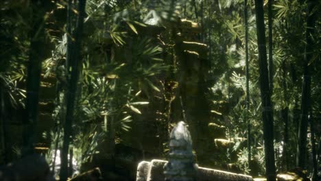 the ruins of ancient buildings in green bamboo forest