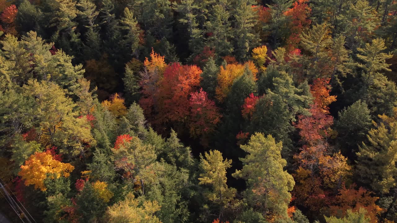 una vista aérea de un agujero en el bosque con un lago tranquilo dentro