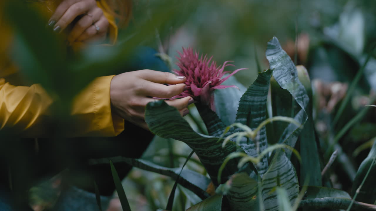 mujer joven disfrutando de la naturaleza mirando hermosas flores rosadas disfrutando de la belleza natural de la primavera en el parque del jardín