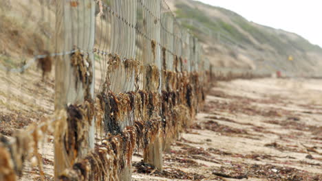 Küstenstrand-Drahtzaun,-Um-Die-Erosion-Der-Dünen-Zu-Unterstützen