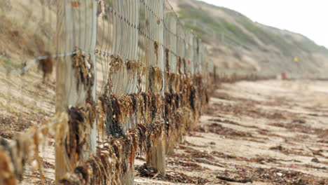 coastal beach wire fence to help erosion of the dunes