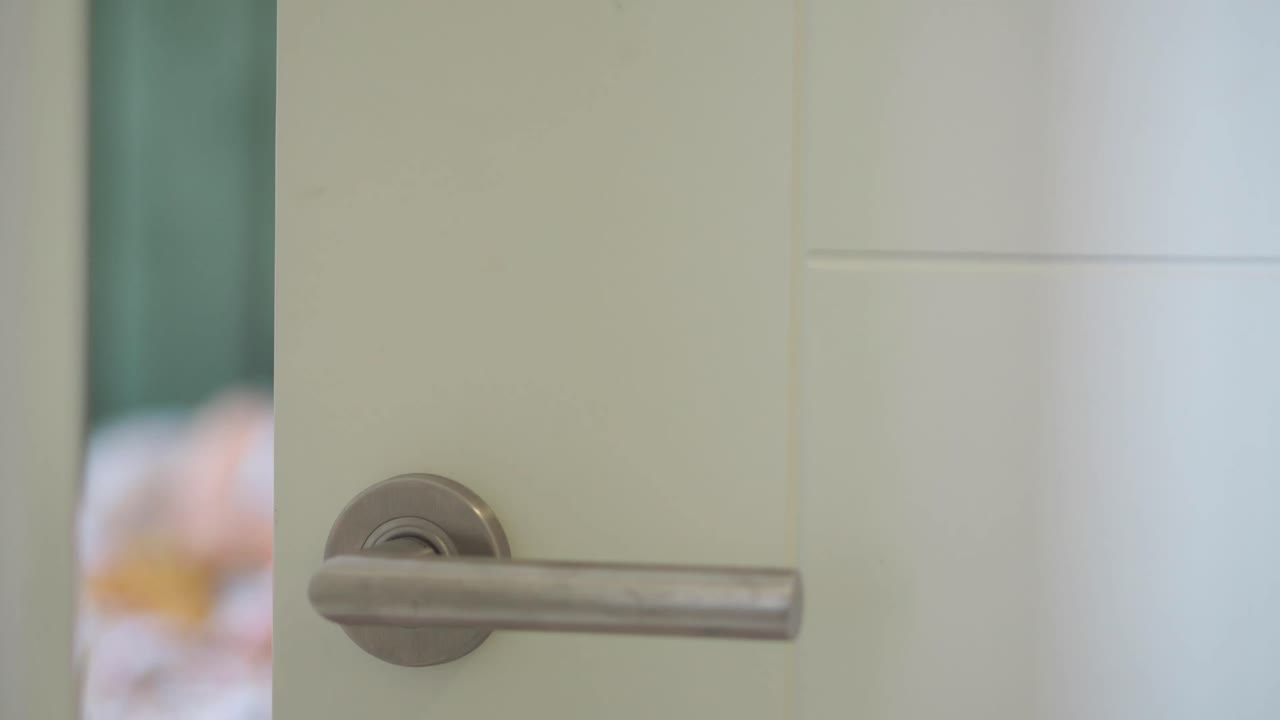 Close-up of a Door with a Silver Handle