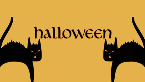 Halloween-Mit-Horrorkatzen-In-Der-Nacht