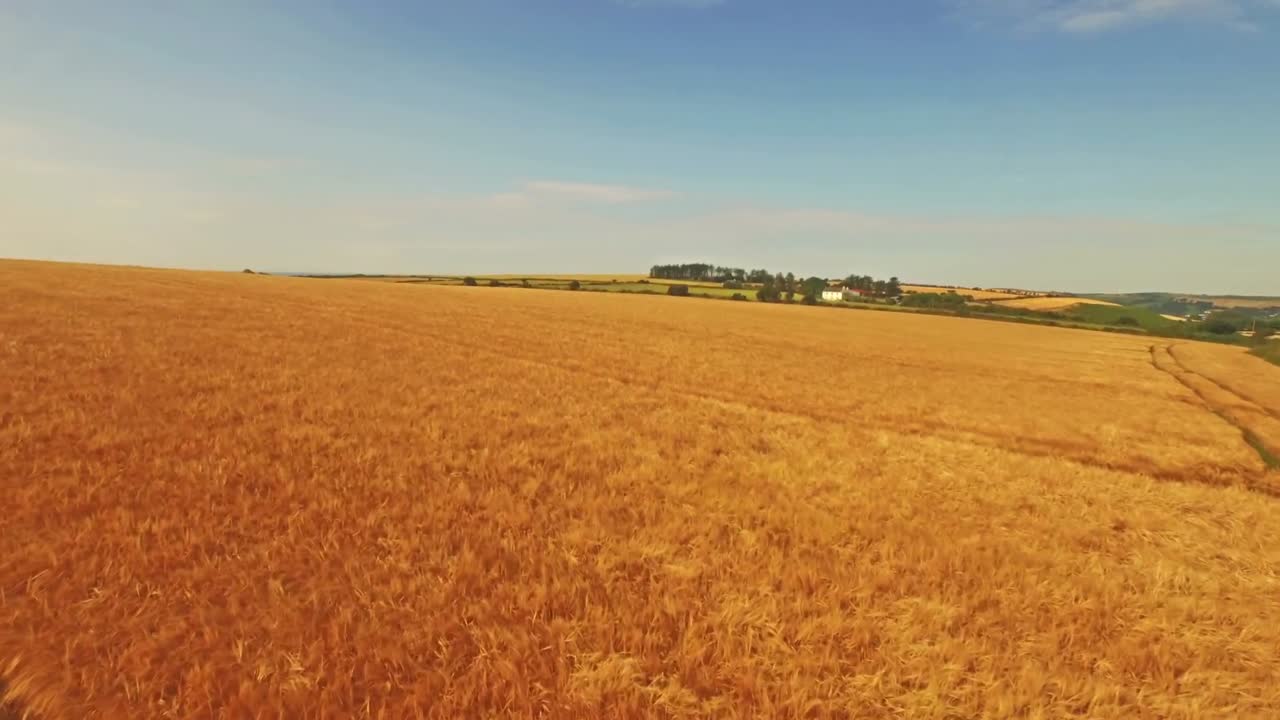 Aerial view of farmer walking through his fields