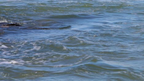 Small-waves-rolling-ashore.-Spring.-Cornwall.-UK