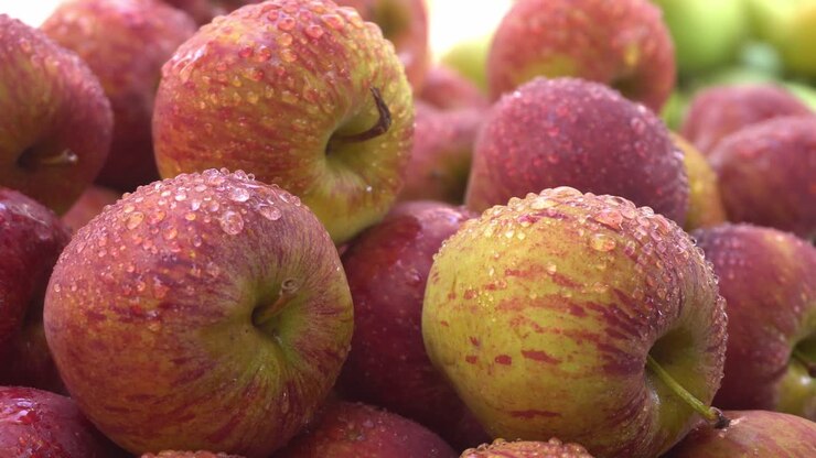 Grazie alla presenza di fitocomposti nelle mele, queste hanno acquisito un'importanza speciale nel corpo umano