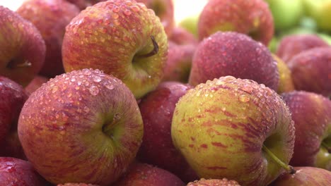 debido a la presencia de fitoquímicos en las manzanas, han cobrado especial importancia en el organismo humano