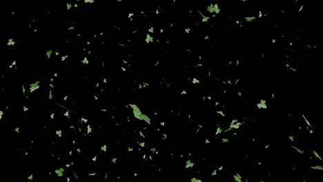 green leaves falling on the ground with green screen background.