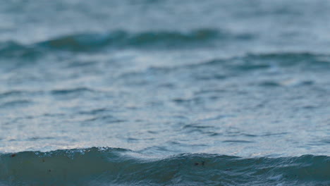 rompiendo olas en el mar agitado - de cerca