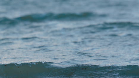 breaking waves in rough sea - close up