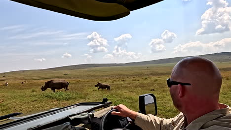 pov - game ranger approaching mother rhino and calf on big five drive