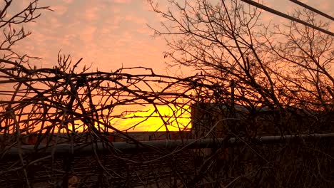 sunset behing silhouetted barbed wire covered in bramble vines on a cloudy evening - 4k