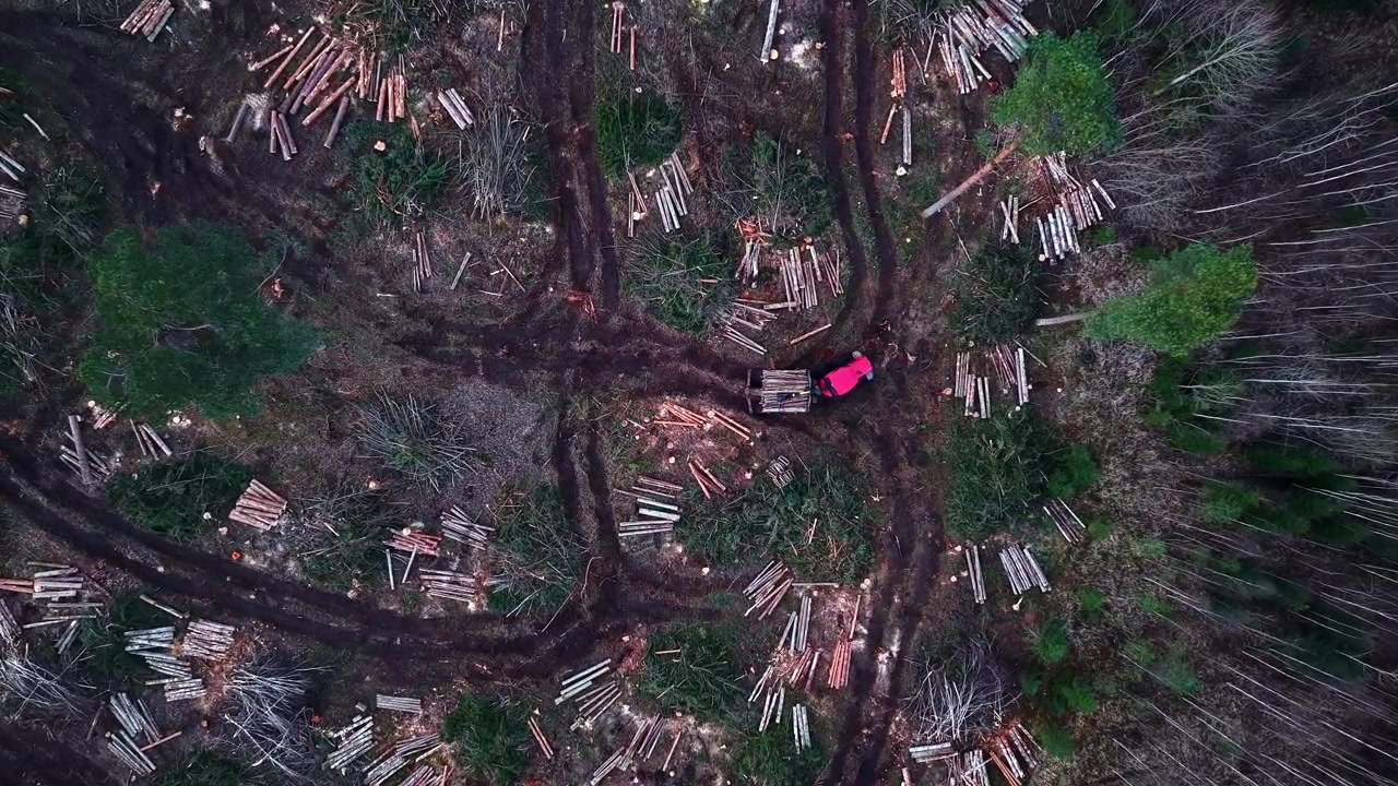 Logging operations with heavy machinery, cut trees, and cleared land in aerial top view