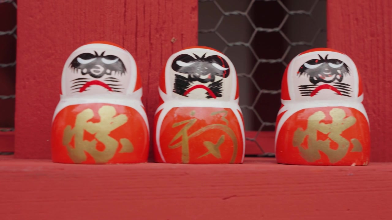 Un filmato ravvicinato rivela file di piccole bambole Daruma disposte con cura all'interno di scomparti di legno invecchiato, evidenziando i loro volti distintivi, i colori e il simbolismo tradizionale