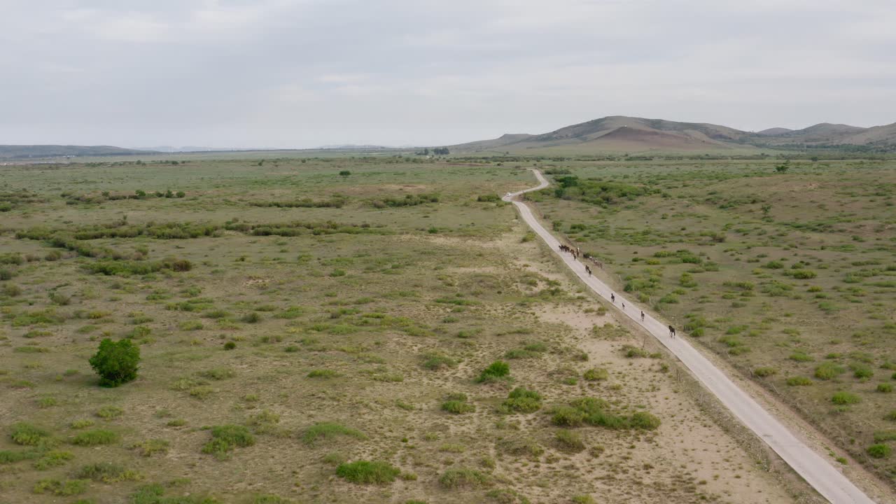 disparo hacia atrás de un rebaño de caballos que se mueven por una larga carretera rural hacia las montañas