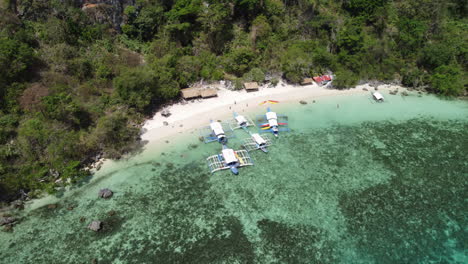 cinematic drone shot top down to tilt-up from palawans cliffs in the philippines, asia, aerial