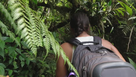 pov camera follows woman hiking in thick green jungle in nicaragua