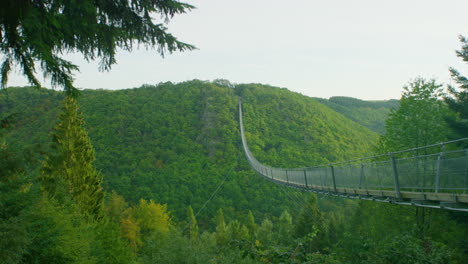 Plano-General-Del-Puente-Colgante-Geierlay-En-La-Mañana-Del-Cardán-Del-Día-De-Verano